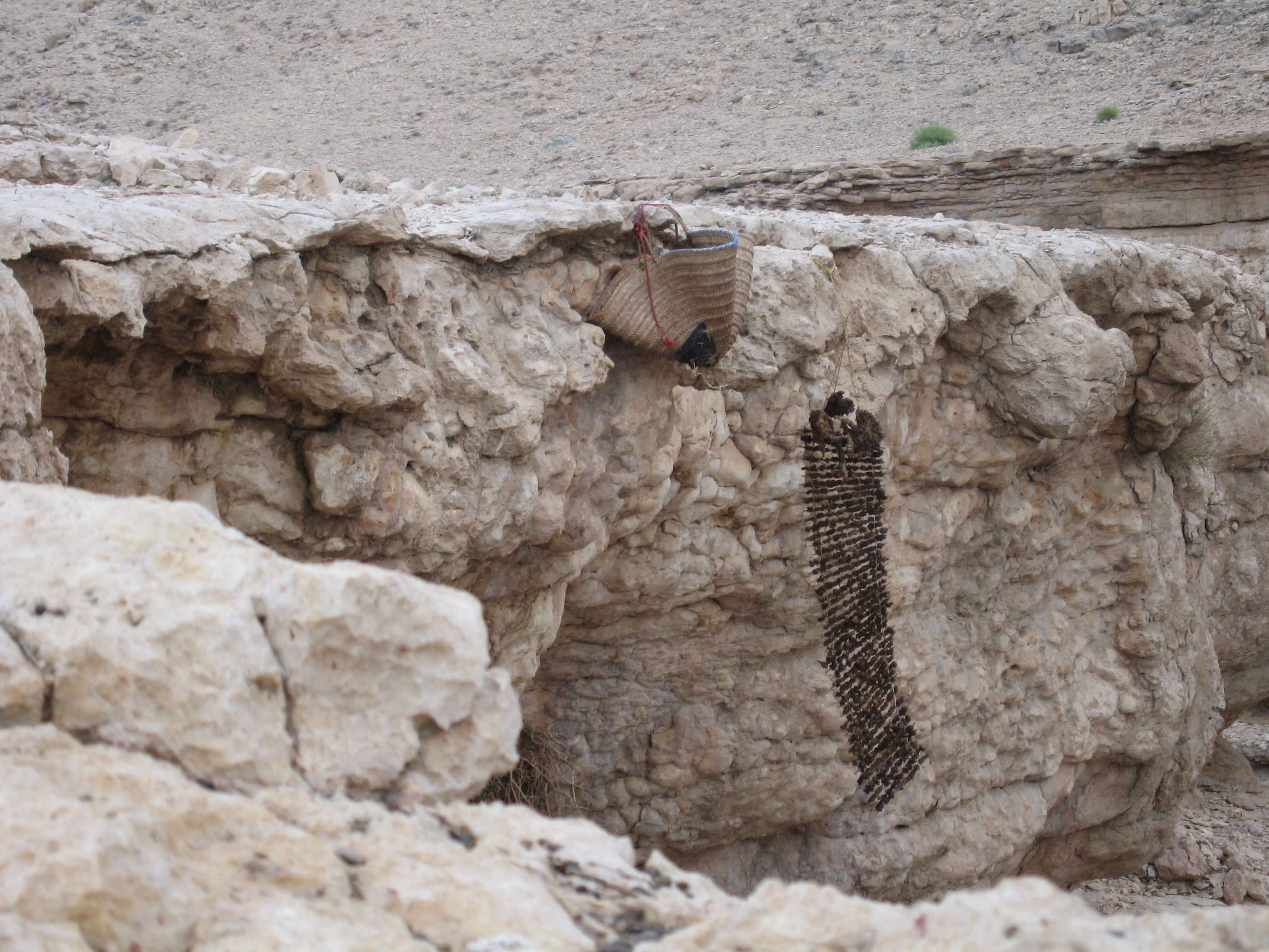 preserved goat meat, Oman